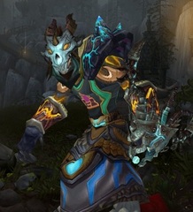 Cheap WoW Accounts Level 85 Male Worgen Hunter