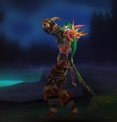 Cheap WoW Accounts Level 85 Female Night Elf Hunter