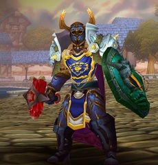 Cheap WoW Accounts Level 80 Male Human Paladin
