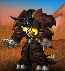 Buying WoW Account Level 83 Male Tauren Druid