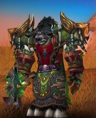 Buying WoW Account Level 85 Male Dwarf Shaman