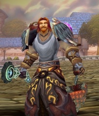 Cheap WoW Accounts Level 85 Male Human Paladin