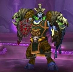 Cheap WoW Accounts Level 85 Male Draenei Shaman