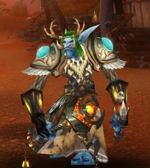 Level 85 Male Troll Druid Wow Accounts for sale