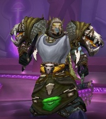 Cheap WoW Accounts Level 85 Male Draenei Shaman