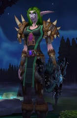 Buying WoW Account Level 85 Female Night Elf Hunter