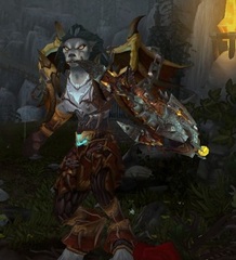 Buying WoW Account Level 85 Female Worgen Hunter