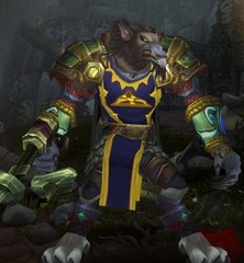 Buying WoW Account Level 85 Male Worgen Hunter