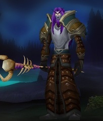 Buying WoW Account Level 82 Male Night Elf Druid