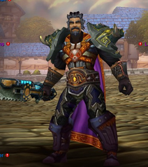 Buying WoW Account Level 81 Male Human Warrior