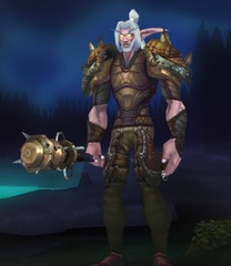 Cheap WoW Accounts Level 84 Male Night Elf Druid