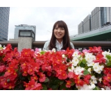 女性が多数活躍している職場です。