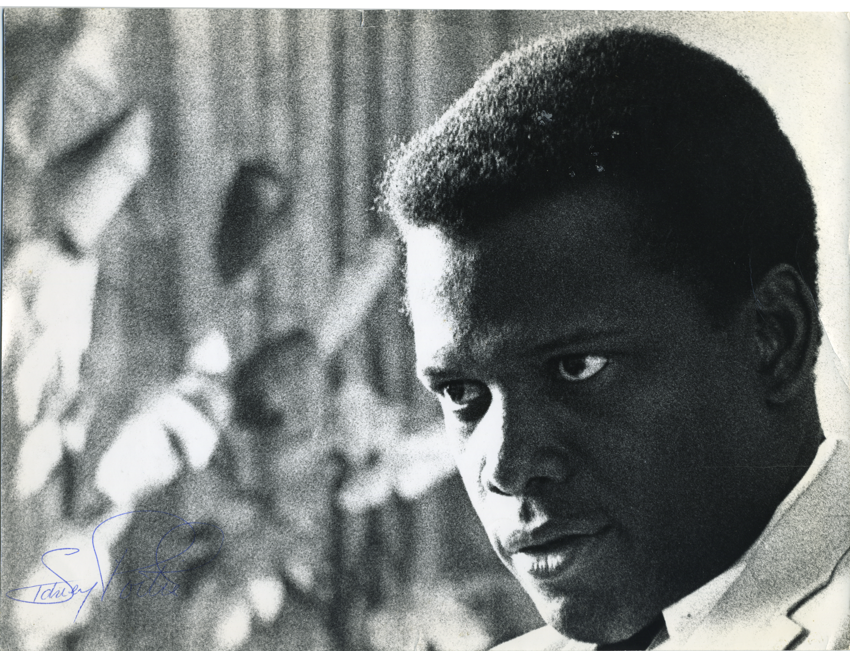 Sidney POITIER: Signed Photograph (ACADEMY AWARD) (ACTOR) - Picture 1 of 1