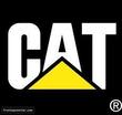 Cat_small