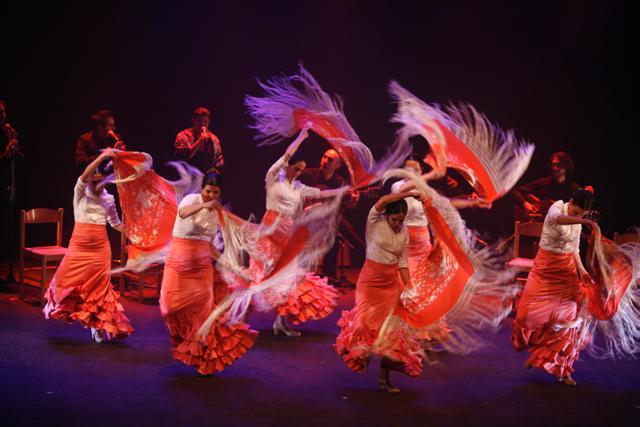 Remangar flamenco company