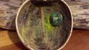 I made all these offerings myself.
Link to: Offering 5 for Wirikuta Sacred Site