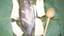 Link to: MAITO DE TILAPIA