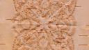 Link to: Examples of Birch Bark Biting