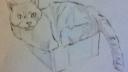 Link to: hi artco