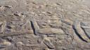 Link to: secret signs in the sand by rhoda