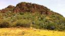 Link to: mountain with cactus