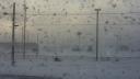 Link to: view from the window