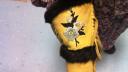 Link to: Send a picture of your gloves - they are amazing!