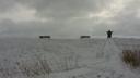 Link to: Inukshuk in the snow