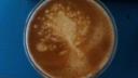 Link to: Early morning coffee