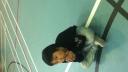 Link to: mary