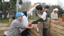 Link to: Construyendo la compostera
