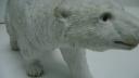 Link to: Une vieille famme qui tua un ours polair