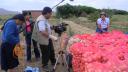Lien vers: TALLER MUJERES TARIJA