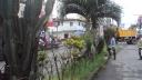 Link to: INDAGAN OBRA DE AGUA POTABLE EN QUININDE