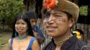 Link to: Sachata Kishipichik Mani - Soy Defensor de la Selva 