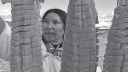 Link to: Tungijuq: Related Learning Materials