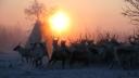 Link to: International Sami film centre