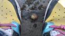 Link to: Cynthia n her bright shoes
