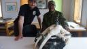 Link to: The Ecology of Stone and Bone