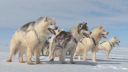 Link to: Look! The Arctic! Our submission to the UN for COP-15