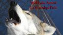 Link to: The Call of the Wolf, Return to the Sacred Hoop part 1