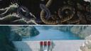 Link to: ARTE Y TRANSFORMACIÓN: “EL VIAJE DE LA SERPIENTE” ANTE LA AMENAZA DE LAS REPRESAS HIDROELÉCTRICAS EN NELTUME
