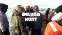 Link to: Beluga Hunt 2012