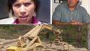 Link to: ENTREVISTAS: EL DEBACLE DE LA INDUSTRIA FORESTAL 