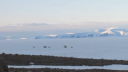 Link to: Pond Inlet TV Playlist
