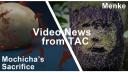 Lien vers: Video News from TAC, June 2013