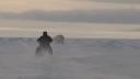 Lien vers: Polar Bear Hunting 