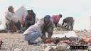 Link to: OTH090812_1_Part01