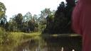 Link to: Amazonia