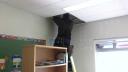 Link to: Installing the Internet